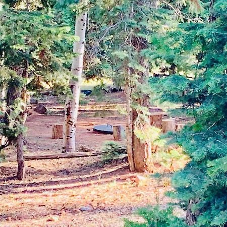 Adventure Awaits 3King Bed,2Bath Log Cabin In Heart Of Duck Creek Village! Exterior foto