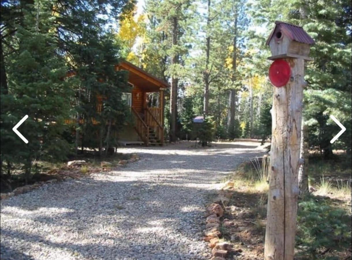 Adventure Awaits 3King Bed,2Bath Log Cabin In Heart Of Duck Creek Village! Exterior foto